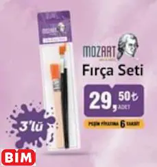 FIRÇA SETİ